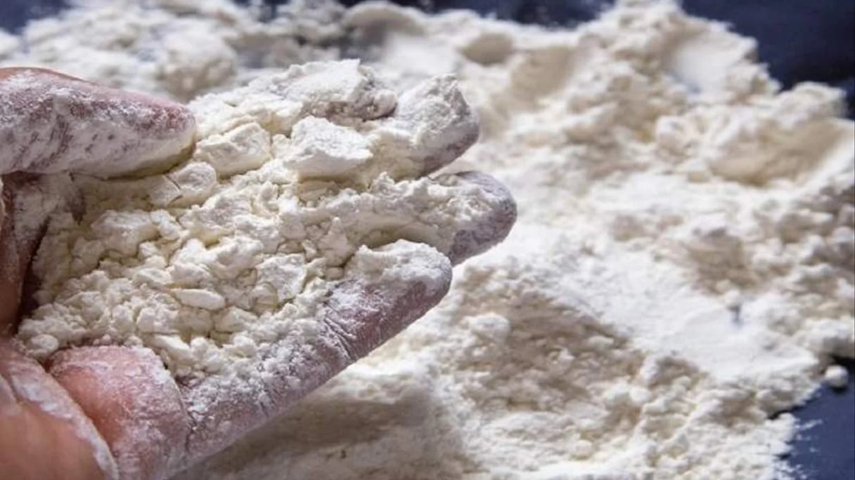 دقيق فاسد "صورة تعبيرية"