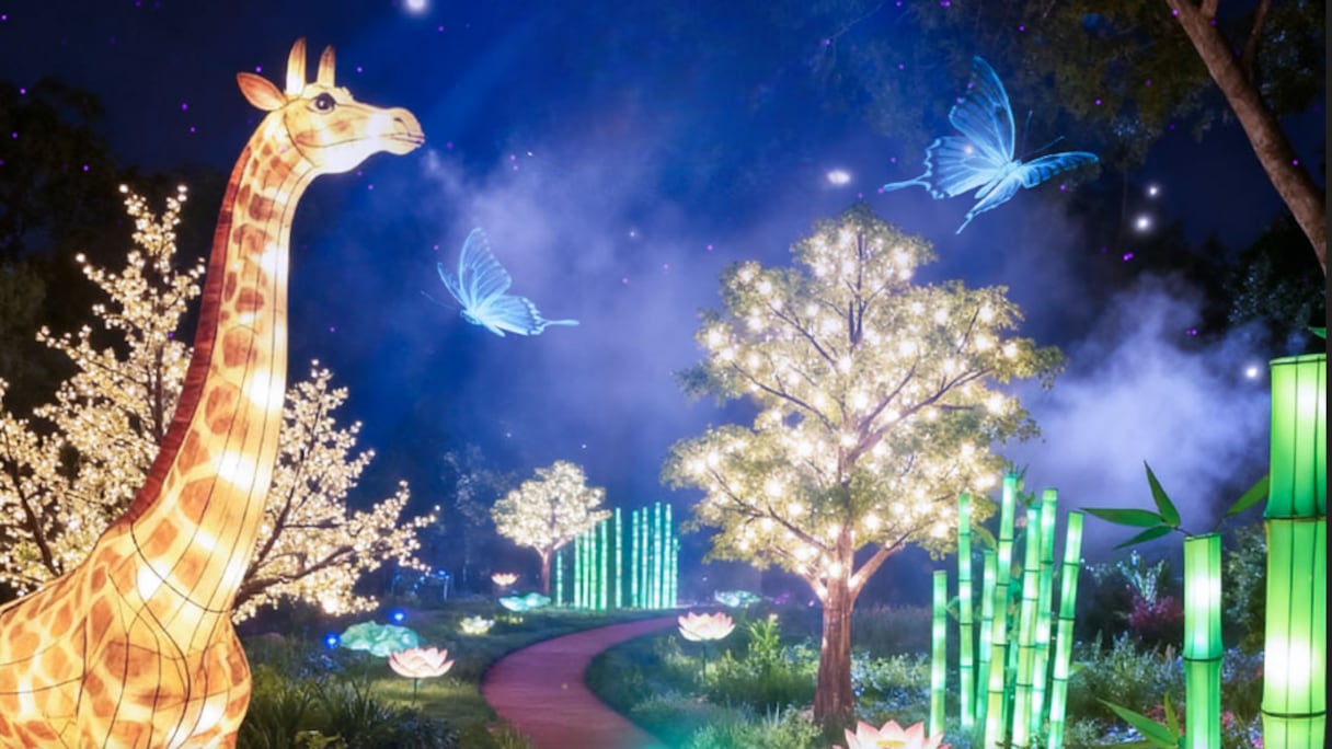 مهرجان "Magic Garden Light"