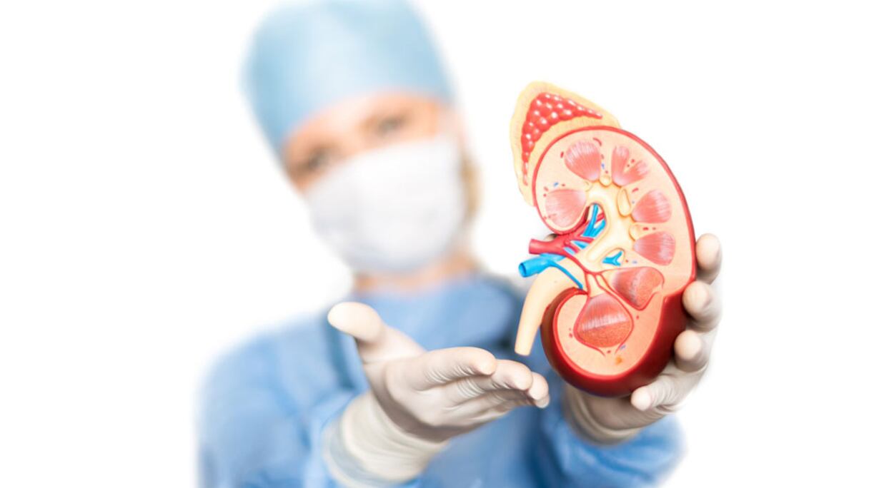أمراض الكلى