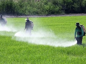 مبيدات زراعية