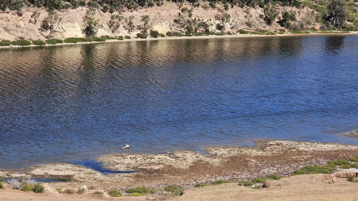 تراجع صبيب واد أم الربيع بسبب الجفاف