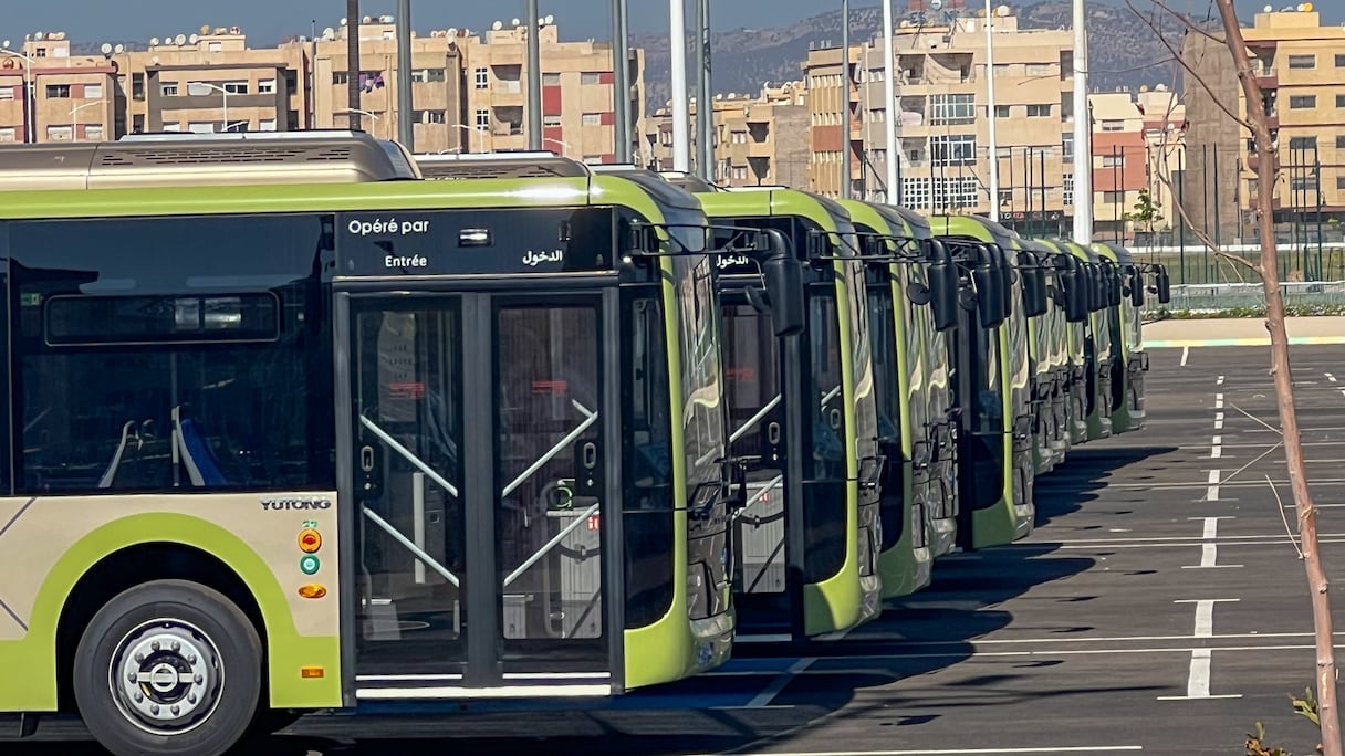 حافلات جديدة بمدينة فاس