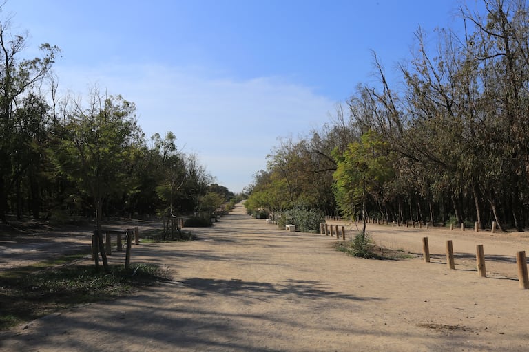 غابة بوسكورة