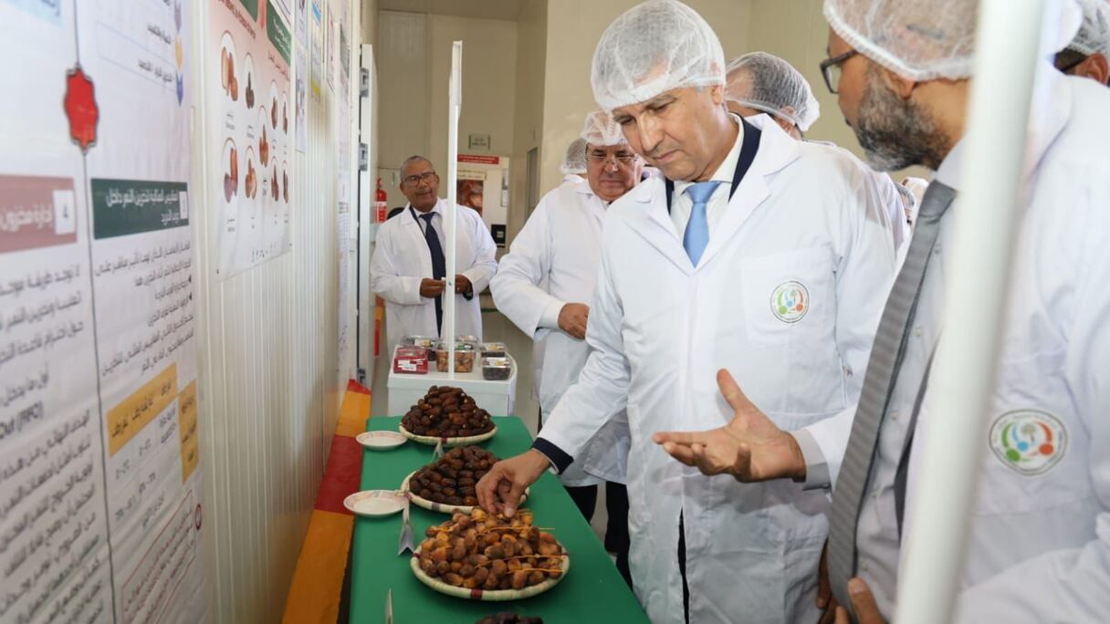 وزير الفلاحة والصيد البحري والتنمية القروية والمياه والغابات، محمد صديقي يزور مشاريع بإقليم زاكورة
