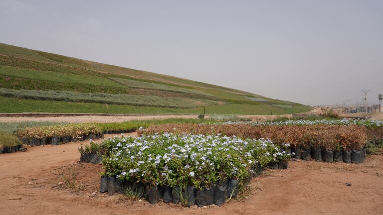 أشغال تحويل مطرح النفايات بمديونة إلى منتزه