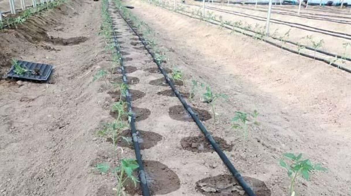 الري بتقنية النانو