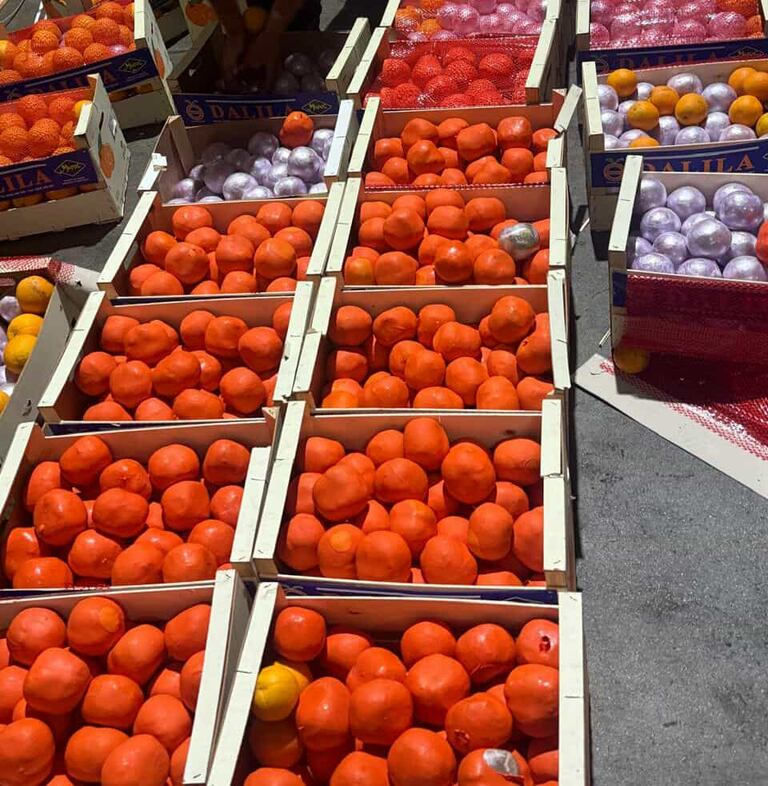 تهريب الشيرا وسط الفواكه