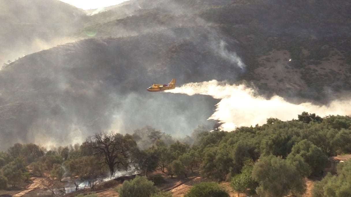 طائرة كنادير تخمد حريقا غابويا
