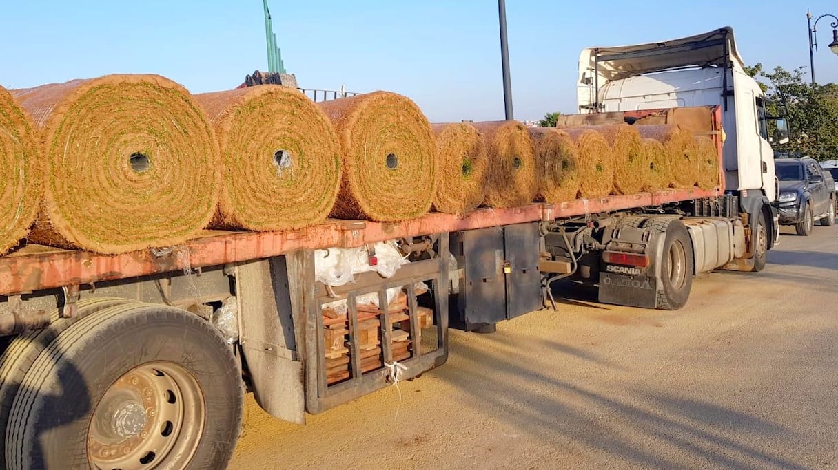 العشب الطبيعي يصل ملعبي التداريب بطنجة
