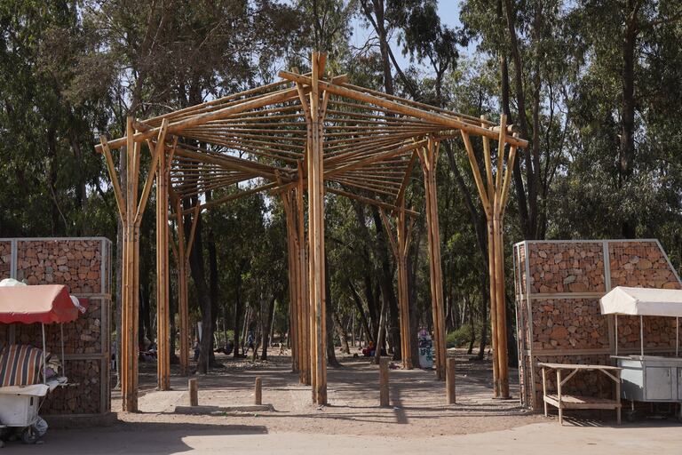 غابة بوسكورة