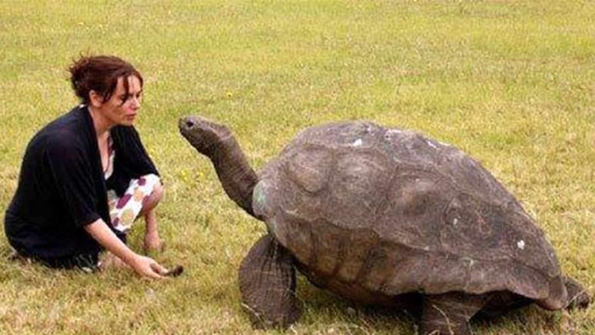 جوناثان ولد في العصر الجورجي وتحديداً عام 1832
