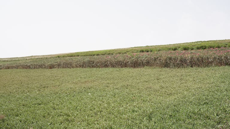 أشغال تحويل مطرح النفايات بمديونة إلى منتزه