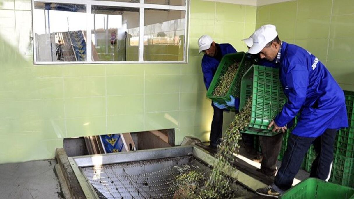 تعاونية فلاحية
