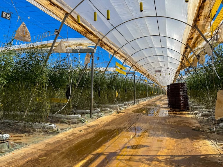 الضيعات المتضررة