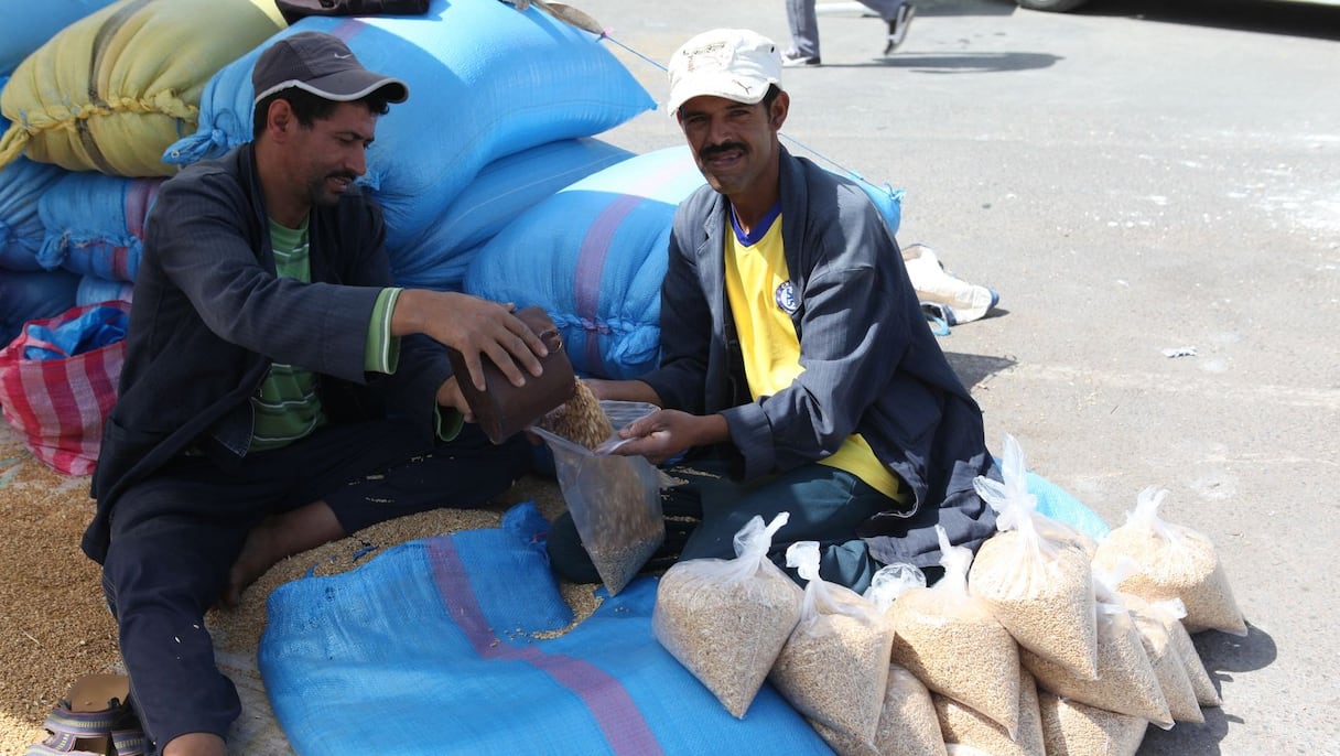 زكاة الفطر والواجب الشرعي 
