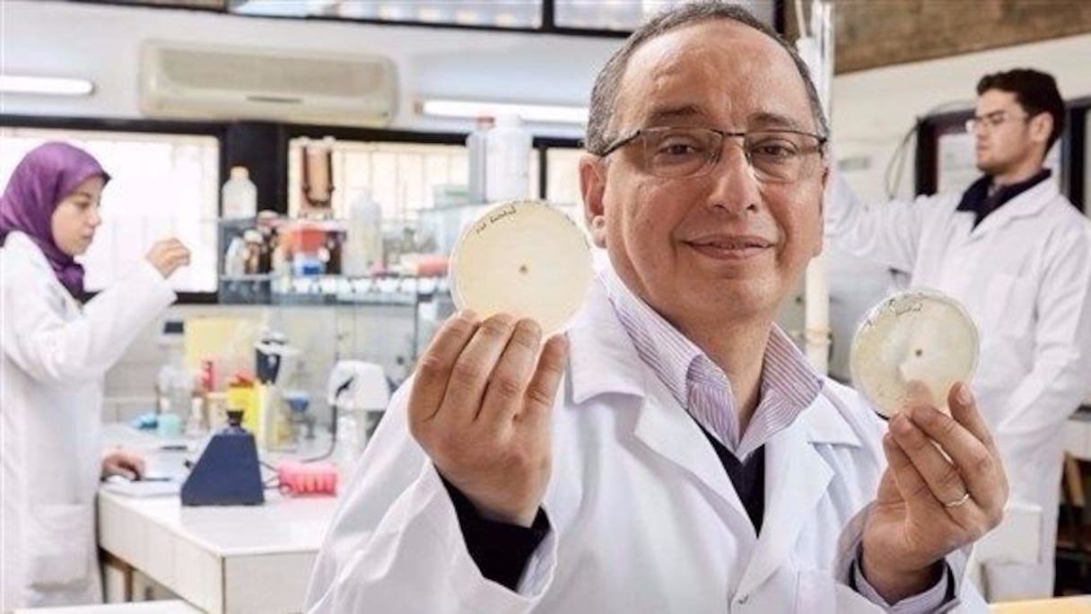 الباحث عدنان رمال
