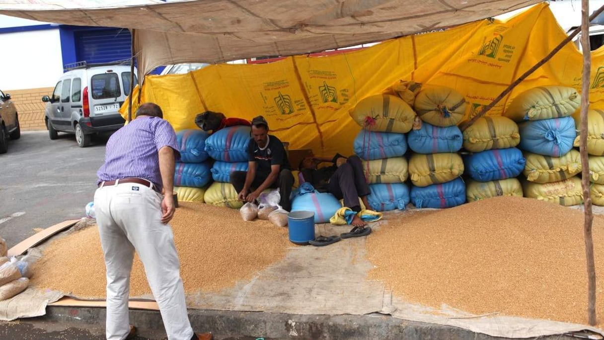 غالبية المغاربة يخرجون الزكاة بصاع من القمح
