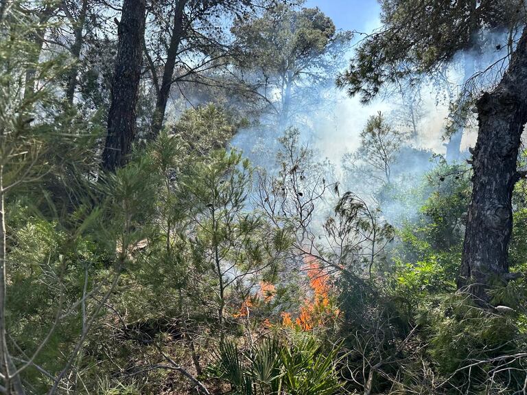 حريق مهول يحاصر غابة الهوارة بضواحي طنجة
