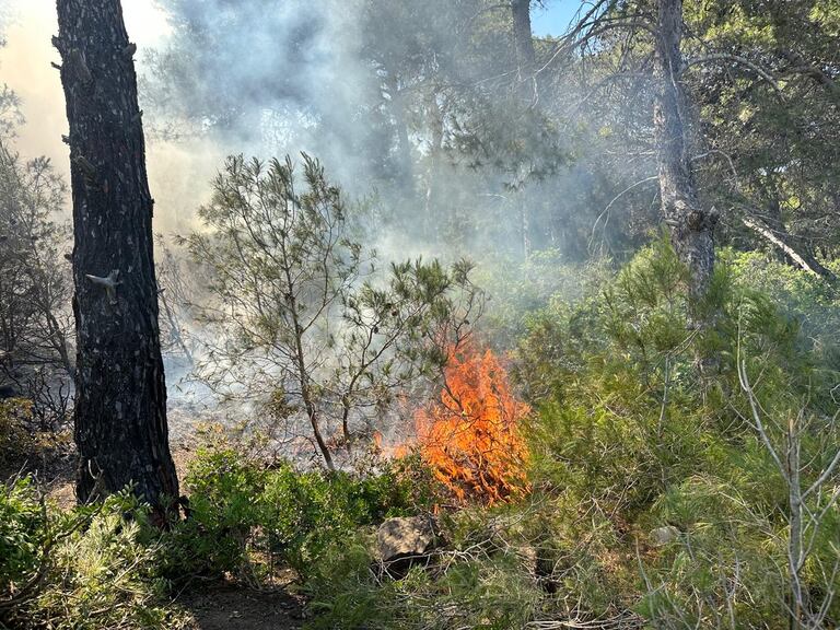 حريق مهول يحاصر غابة الهوارة بضواحي طنجة