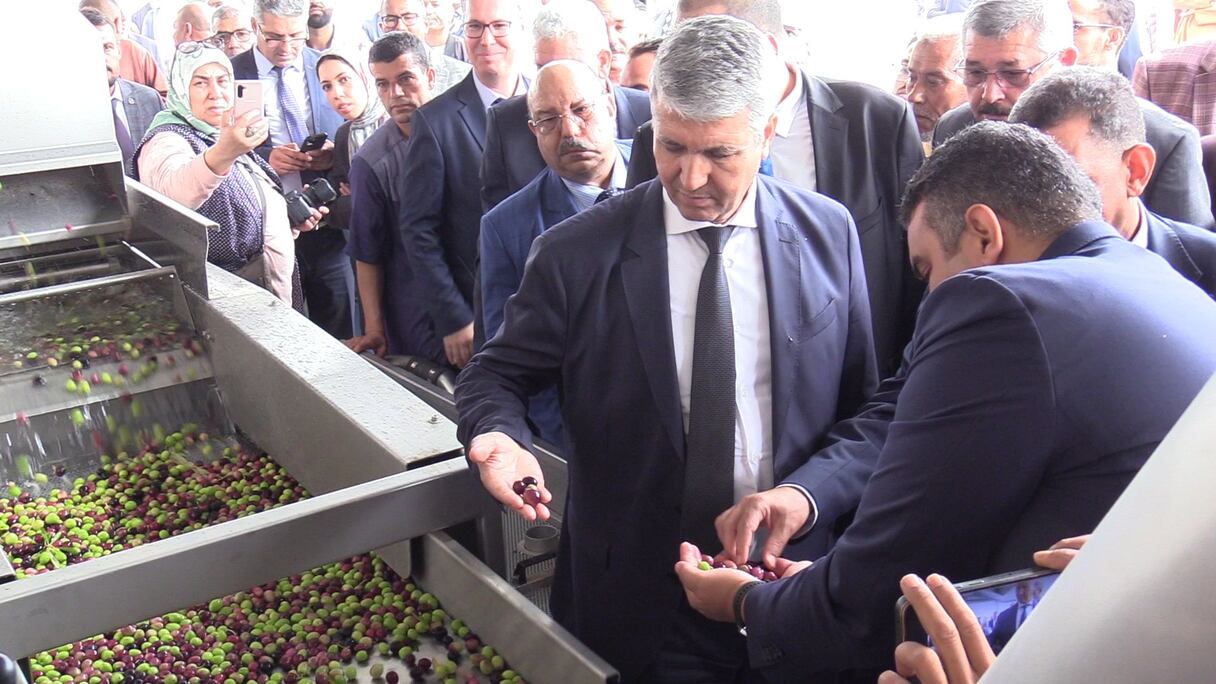 وزير الفلاحة محمد صديقي يطلق مشاريع فلاحية بإقليم جرسيف