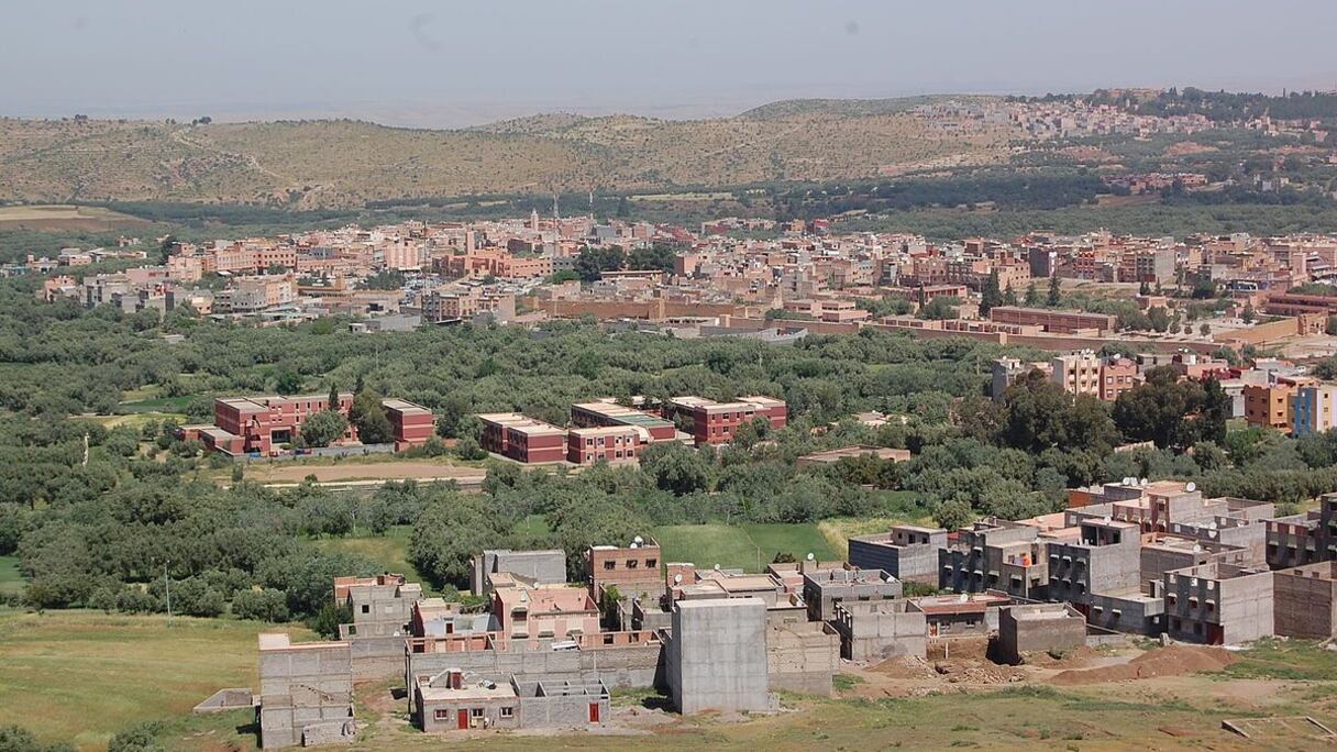 مشهد عام لمدينة دمنات
