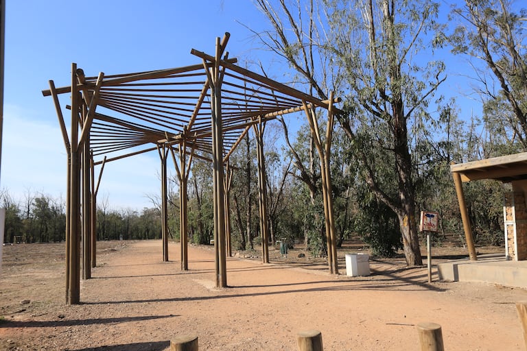 غابة بوسكورة