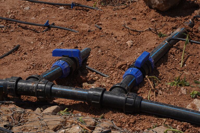 منزه مديونة