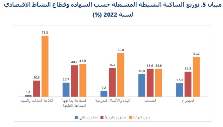 القطاعات المشغلة للفئات النشيطة