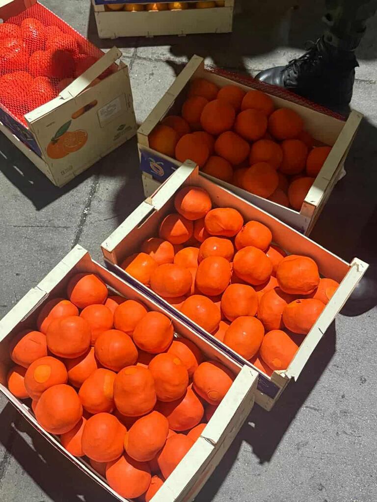 تهريب الشيرا وسط الفواكه