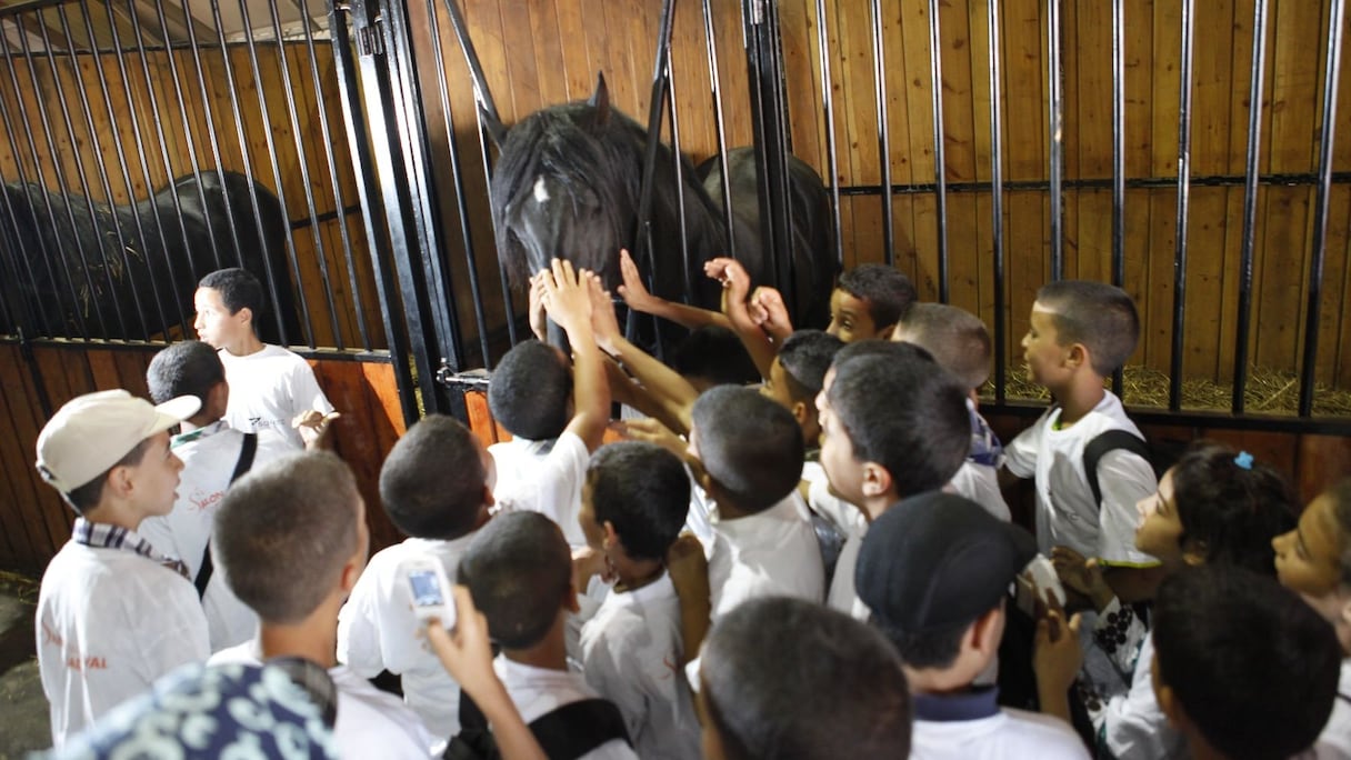 أيادي الأطفال تداعب جوادا أدهما في إسطبل المعرض
