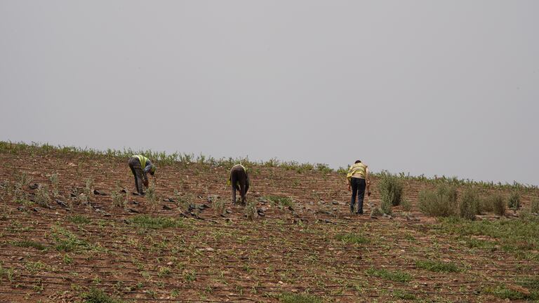 أشغال تحويل مطرح النفايات بمديونة إلى منتزه