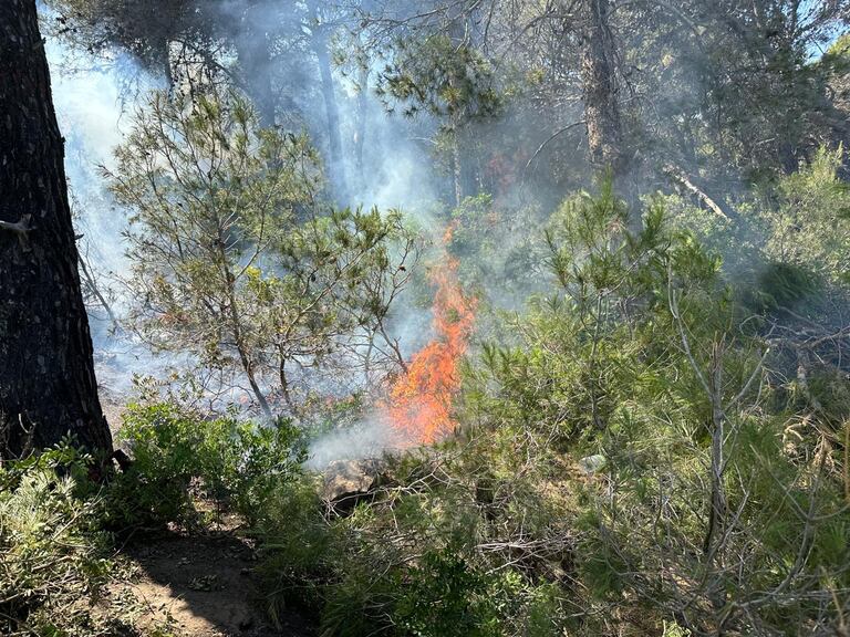 حريق مهول يحاصر غابة الهوارة بضواحي طنجة