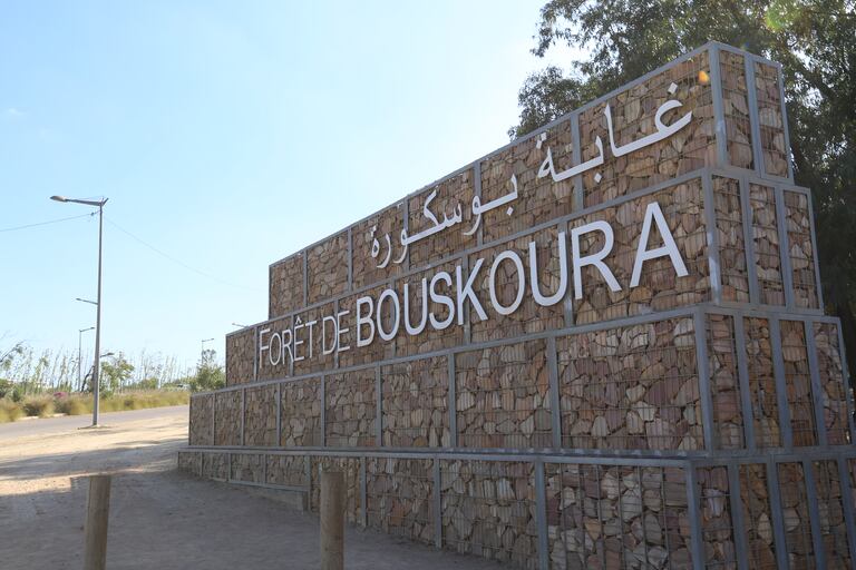 غابة بوسكورة