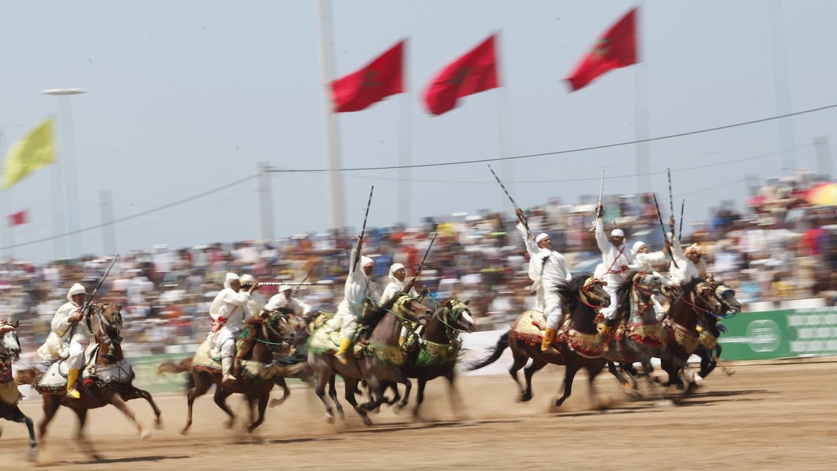 خيول أصيلة وتقاليد فن الفروسية
