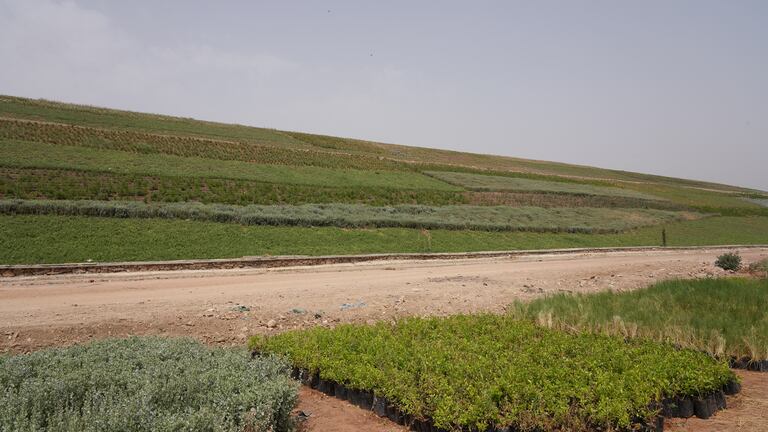 أشغال تحويل مطرح النفايات بمديونة إلى منتزه