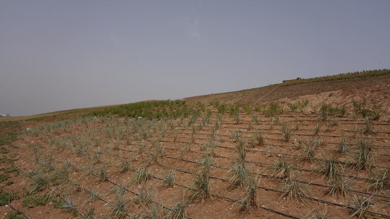 أشغال تحويل مطرح النفايات بمديونة إلى منتزه