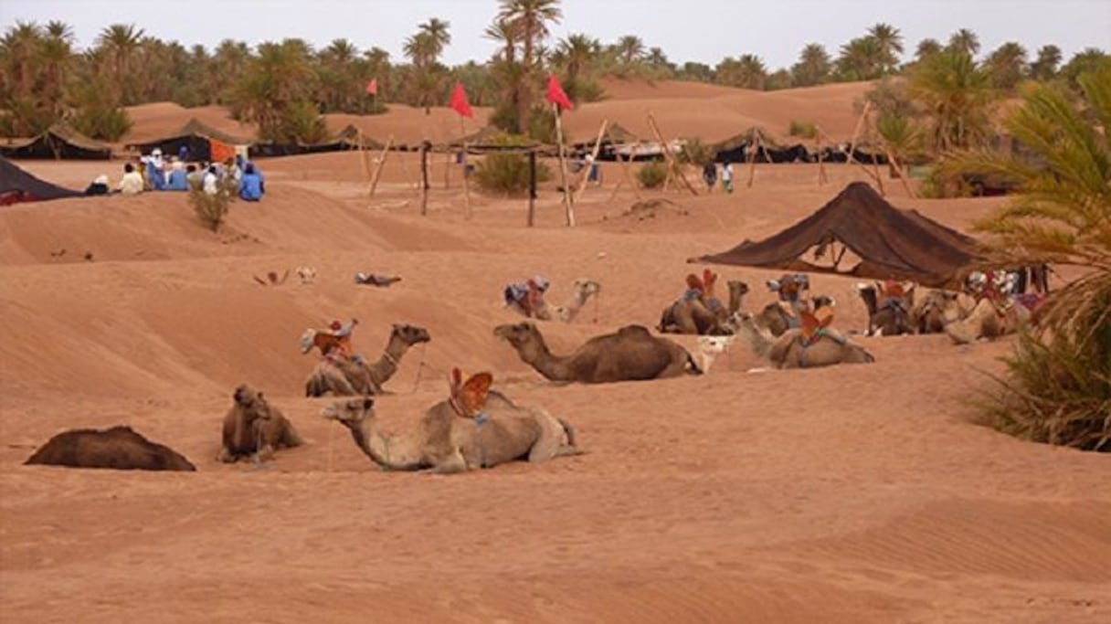 المهرجان الدولي للرحل بمحاميد الغزلان
