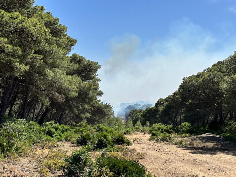حريق مهول يحاصر غابة الهوارة بضواحي طنجة