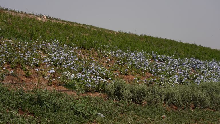 أشغال تحويل مطرح النفايات بمديونة إلى منتزه