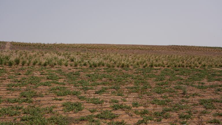 أشغال تحويل مطرح النفايات بمديونة إلى منتزه