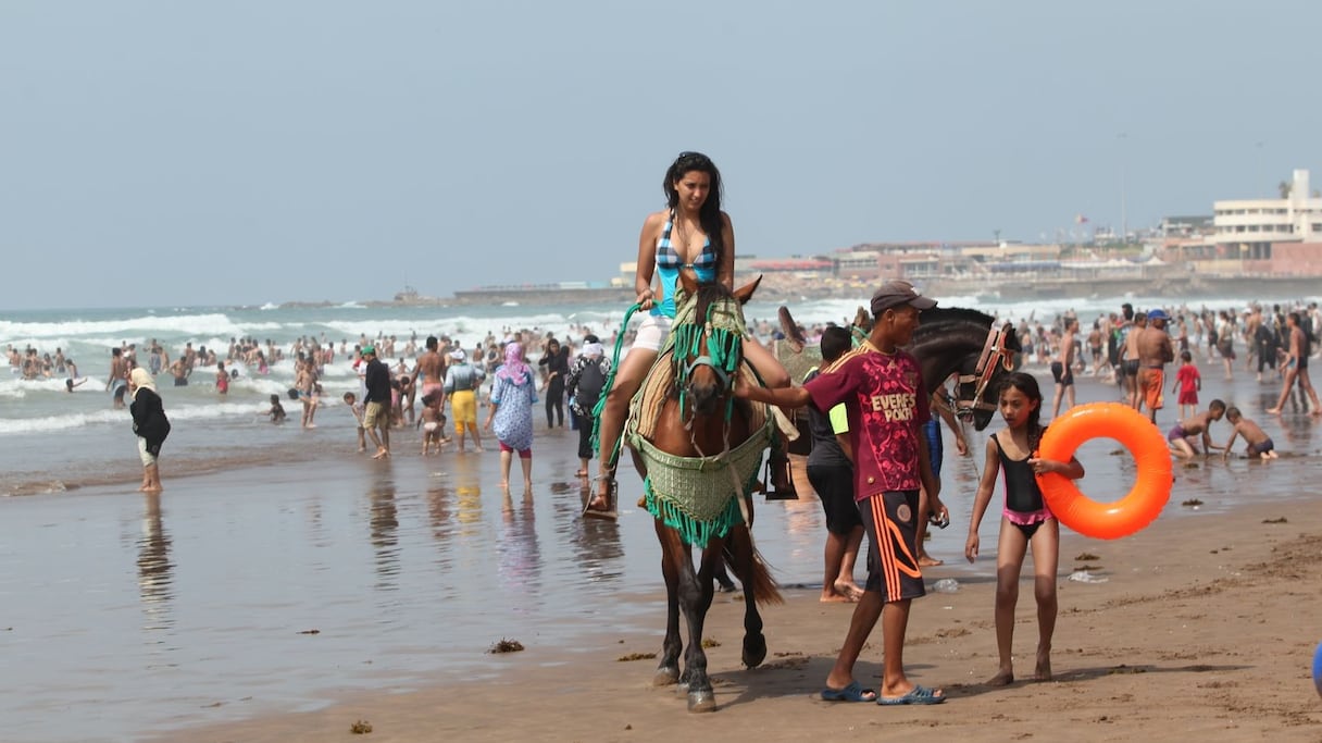 التقاء متعة البحر مع متعة ركوب الخيل
