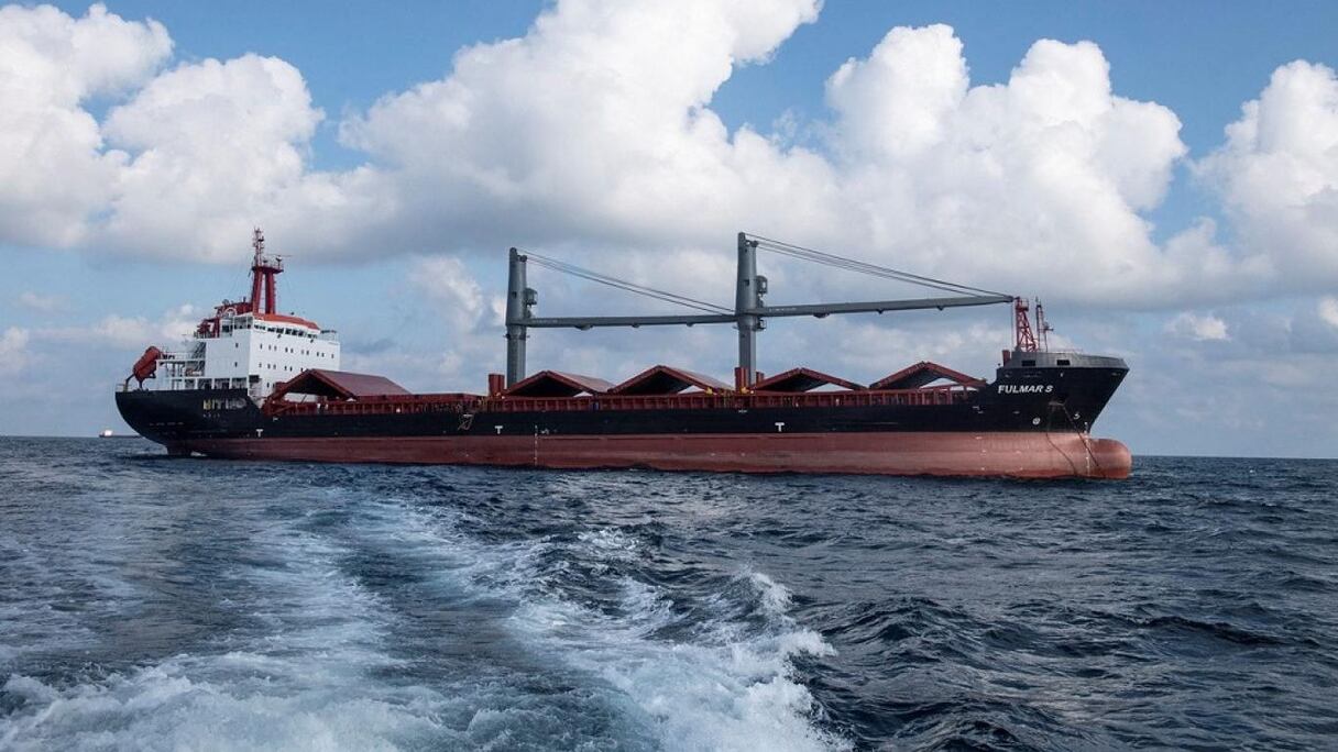 سفينة لنقل الحبوب
